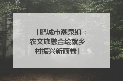 肥城市潮泉镇：农文旅融合绘就乡村振兴新画卷