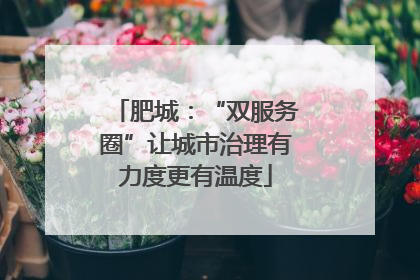 肥城：“双服务圈”让城市治理有力度更有温度