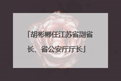 胡彬郴任江苏省副省长、省公安厅厅长