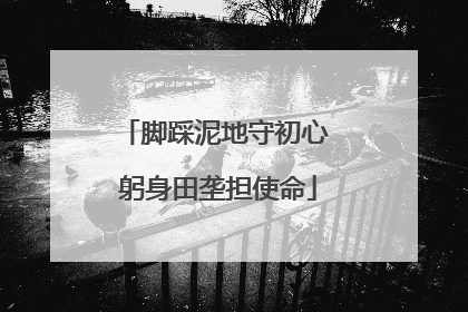 脚踩泥地守初心 躬身田垄担使命