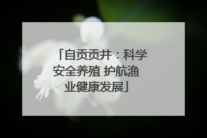 自贡贡井：科学安全养殖 护航渔业健康发展