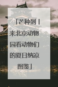 芒种到丨来北京动物园看动物们的夏日纳凉图鉴
