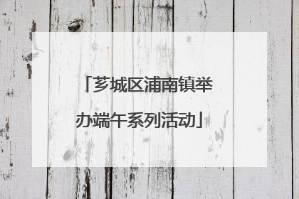 芗城区浦南镇举办端午系列活动