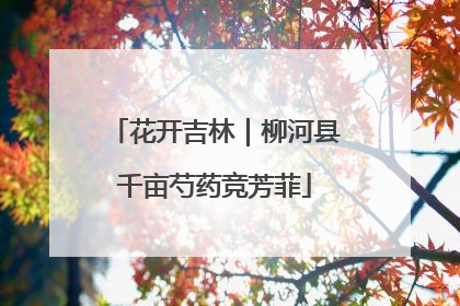 花开吉林｜柳河县千亩芍药竞芳菲
