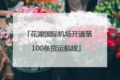 花湖国际机场开通第100条货运航线