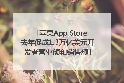 苹果App Store去年促成1.3万亿美元开发者营业额和销售额