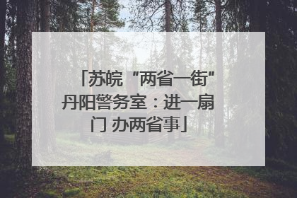 苏皖“两省一街”丹阳警务室：进一扇门 办两省事
