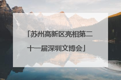 苏州高新区亮相第二十一届深圳文博会