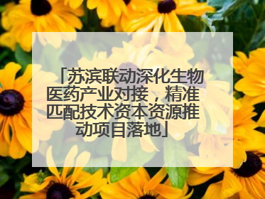 苏滨联动深化生物医药产业对接，精准匹配技术资本资源推动项目落地