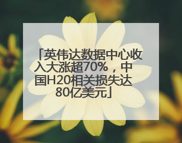 英伟达数据中心收入大涨超70%，中国H20相关损失达80亿美元