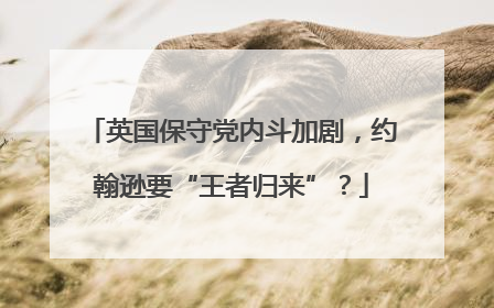 英国保守党内斗加剧，约翰逊要“王者归来”？