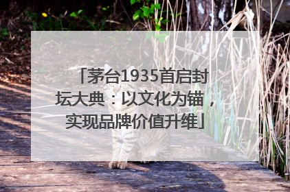 茅台1935首启封坛大典：以文化为锚，实现品牌价值升维