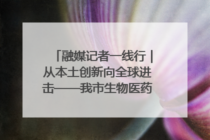 融媒记者一线行｜从本土创新向全球进击——我市生物医药产业破茧突围