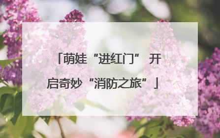萌娃“进红门” 开启奇妙“消防之旅”