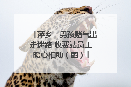 萍乡一男孩赌气出走迷路 收费站员工暖心相助（图）