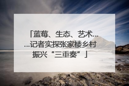 蓝莓、生态、艺术……记者实探张家楼乡村振兴“三重奏”