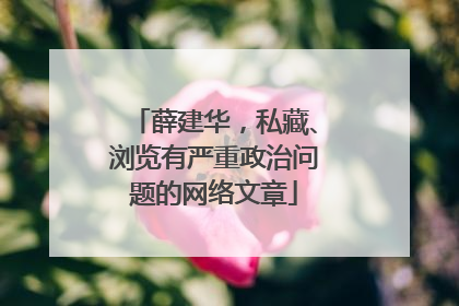 薛建华，私藏、浏览有严重政治问题的网络文章