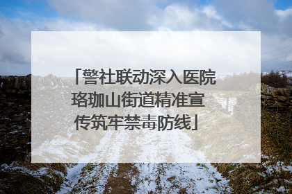 警社联动深入医院 珞珈山街道精准宣传筑牢禁毒防线