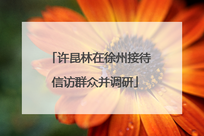 许昆林在徐州接待信访群众并调研