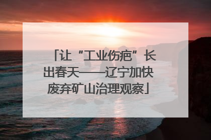 让“工业伤疤”长出春天——辽宁加快废弃矿山治理观察