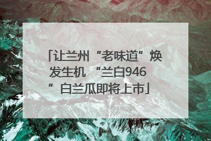 让兰州“老味道”焕发生机 “兰白946”白兰瓜即将上市