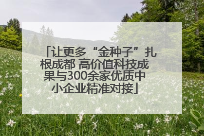 让更多“金种子”扎根成都 高价值科技成果与300余家优质中小企业精准对接