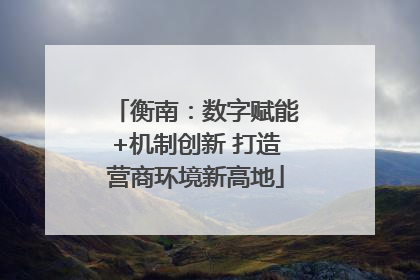 衡南：数字赋能+机制创新 打造营商环境新高地