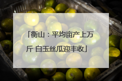 衡山：平均亩产上万斤 白玉丝瓜迎丰收