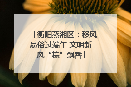 衡阳蒸湘区：移风易俗过端午 文明新风“粽”飘香