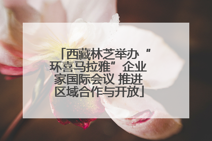 西藏林芝举办“环喜马拉雅”企业家国际会议 推进区域合作与开放