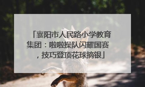 襄阳市人民路小学教育集团：啦啦操队闪耀国赛，技巧登顶花球摘银