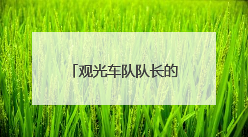 观光车队队长的“梦中情岗”