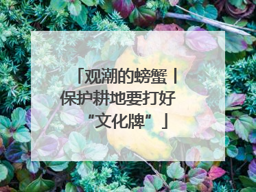 观潮的螃蟹丨保护耕地要打好“文化牌”