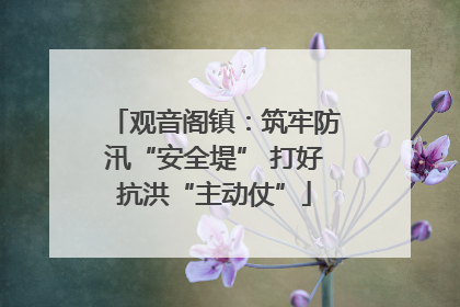 观音阁镇：筑牢防汛“安全堤” 打好抗洪“主动仗”