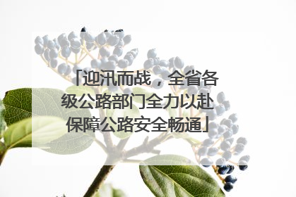 迎汛而战，全省各级公路部门全力以赴保障公路安全畅通