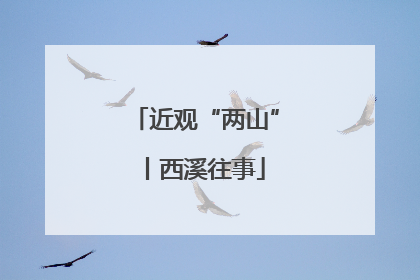 近观“两山”丨西溪往事