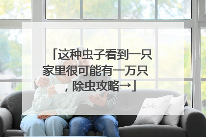 这种虫子看到一只家里很可能有一万只，除虫攻略→