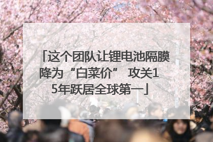 这个团队让锂电池隔膜降为“白菜价” 攻关15年跃居全球第一
