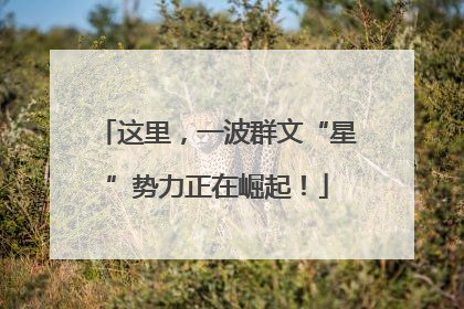 这里，一波群文“星”势力正在崛起！