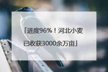 进度96%！河北小麦已收获3000余万亩