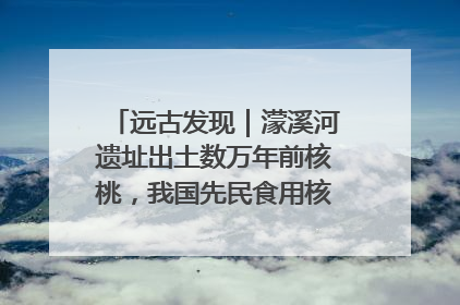 远古发现｜濛溪河遗址出土数万年前核桃，我国先民食用核桃历史大幅提前