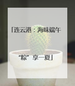 连云港：海味端午 “粽”享一夏
