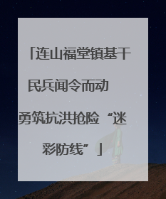 连山福堂镇基干民兵闻令而动  勇筑抗洪抢险“迷彩防线”