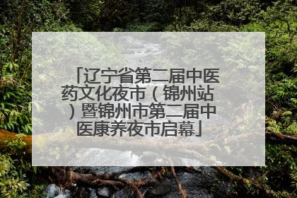 辽宁省第二届中医药文化夜市（锦州站）暨锦州市第二届中医康养夜市启幕
