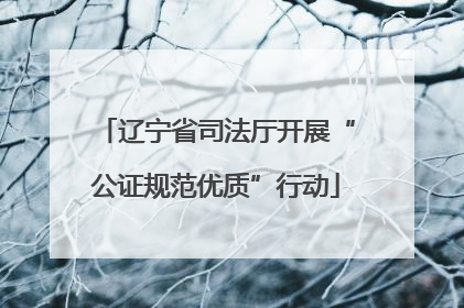 辽宁省司法厅开展“公证规范优质”行动