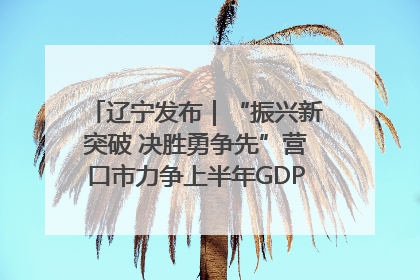 辽宁发布｜“振兴新突破 决胜勇争先”营口市力争上半年GDP增长6%左右