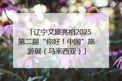 辽宁文旅亮相2025第二届“你好！中国”旅游展（马来西亚）