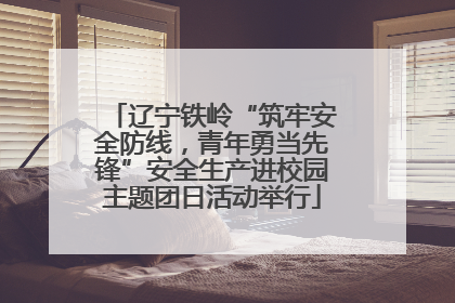 辽宁铁岭“筑牢安全防线，青年勇当先锋”安全生产进校园主题团日活动举行