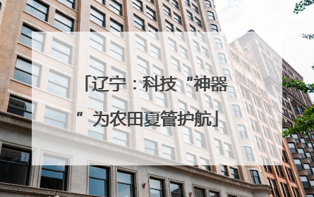 辽宁：科技“神器”为农田夏管护航