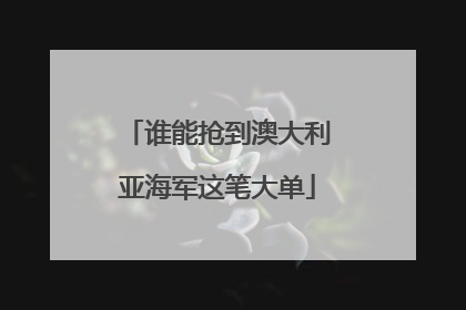 谁能抢到澳大利亚海军这笔大单